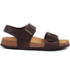 Apure Dark Brown